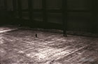 img03