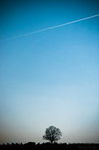 img03
