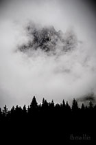 img03