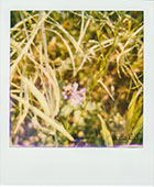 img03